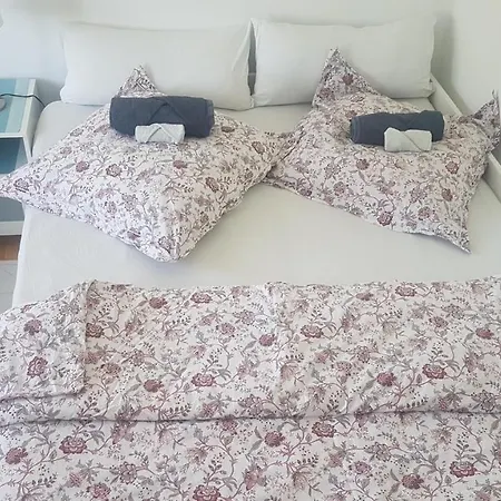 Zimmer 2 Nahe Thoraxklinik - Bad Und Kueche Geteilt Homestay *